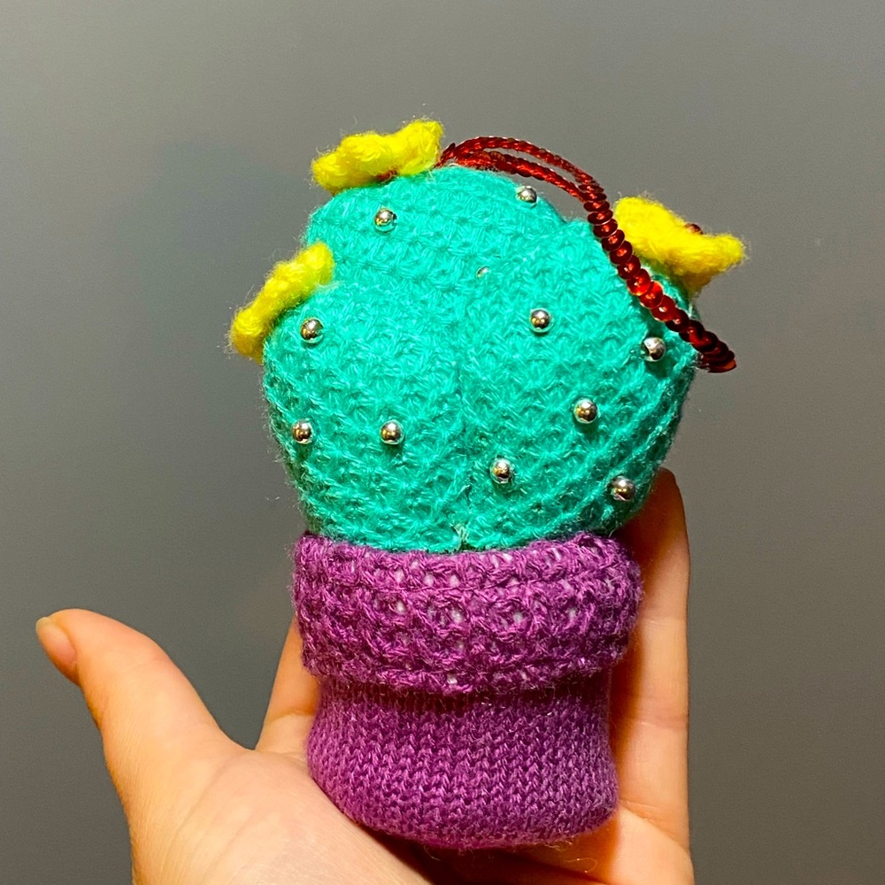 Cactus Charm